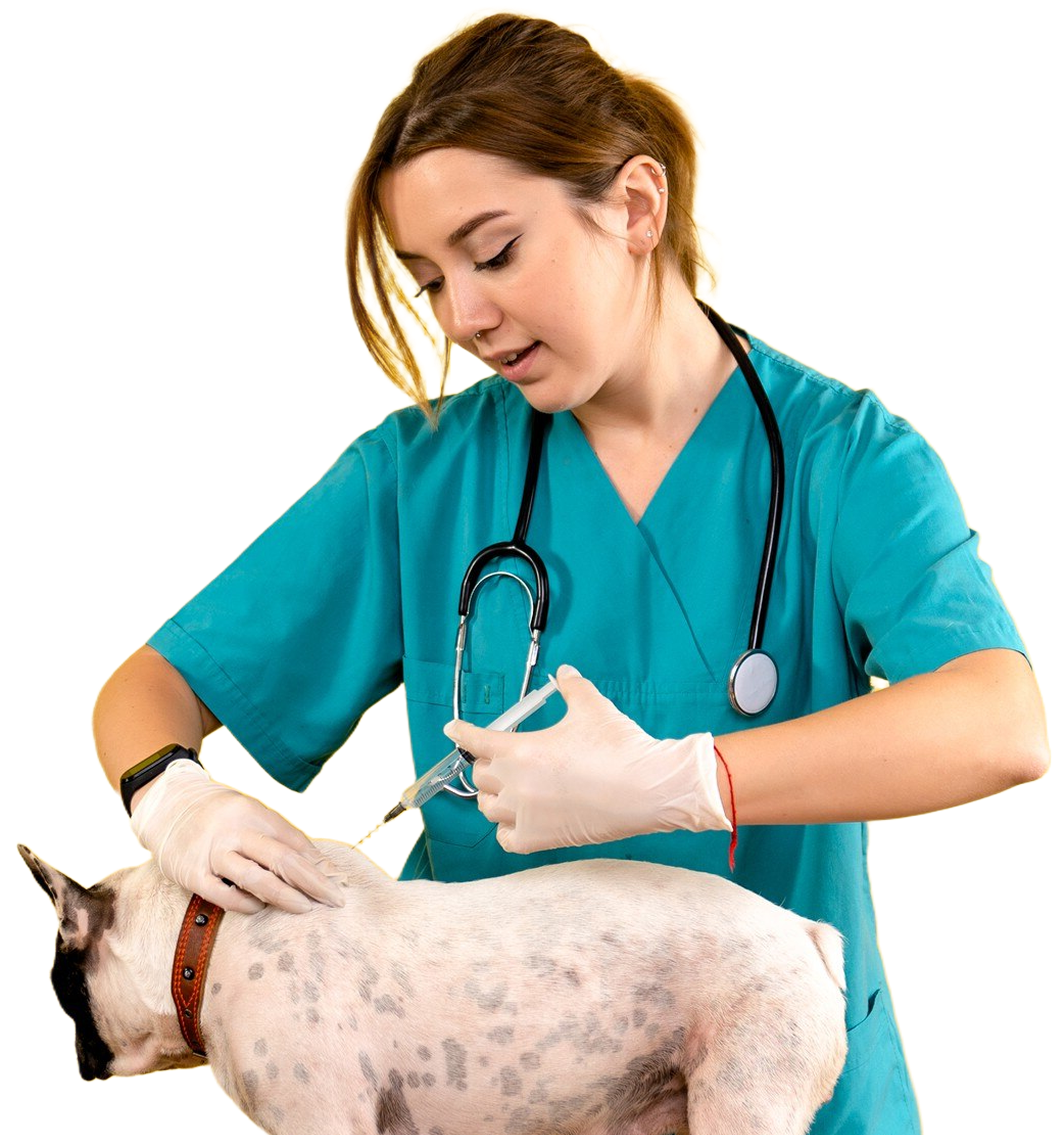 Protect Your Pet with Confidence