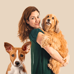 Few Reason for People Choose GlobalVet Claims